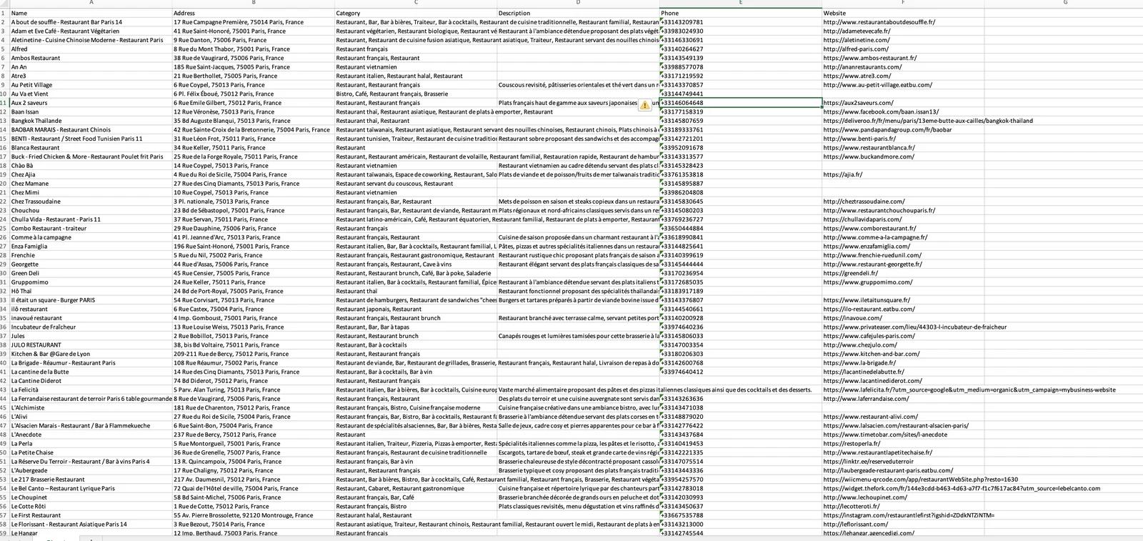 Export Excel des commerces d'une zone avec nom, adresse, catégorie, téléphone et site web
